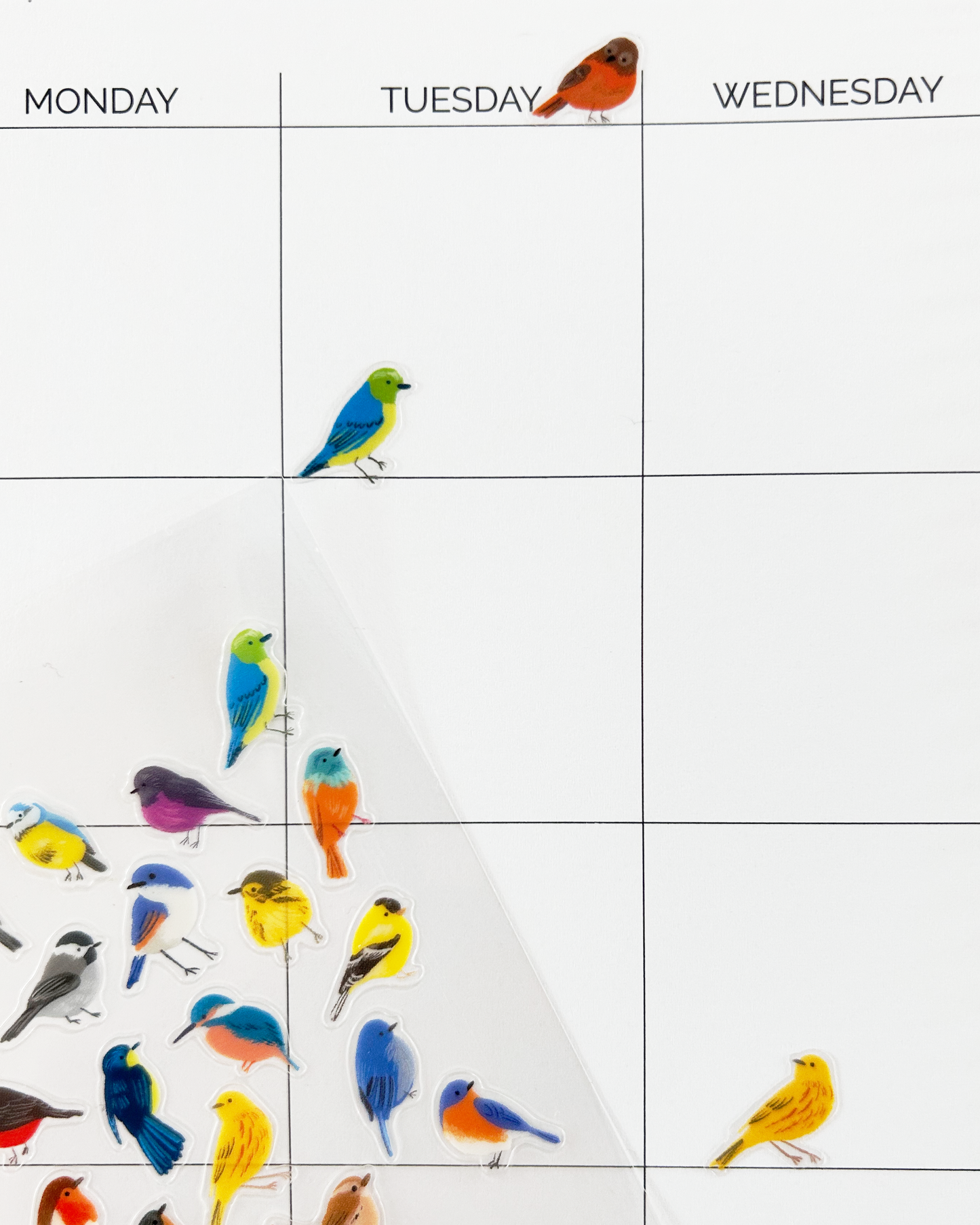 Calendar with clear stickers of colorful birds on a white background