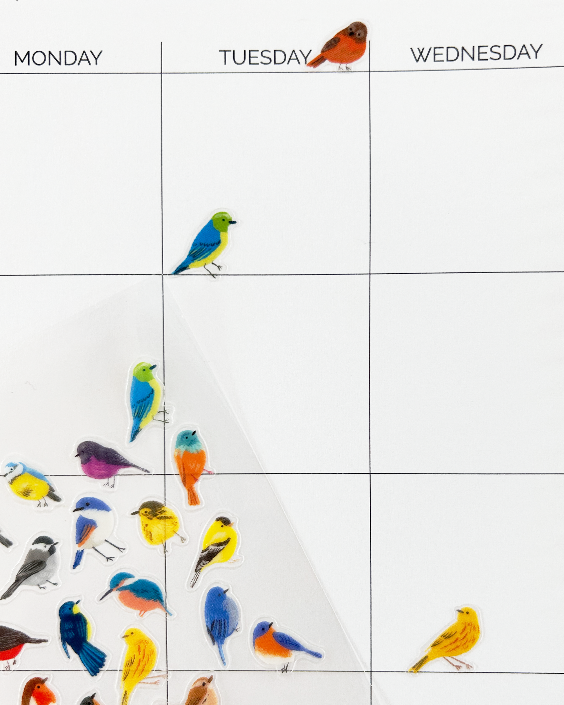 Calendar with clear stickers of colorful birds on a white background