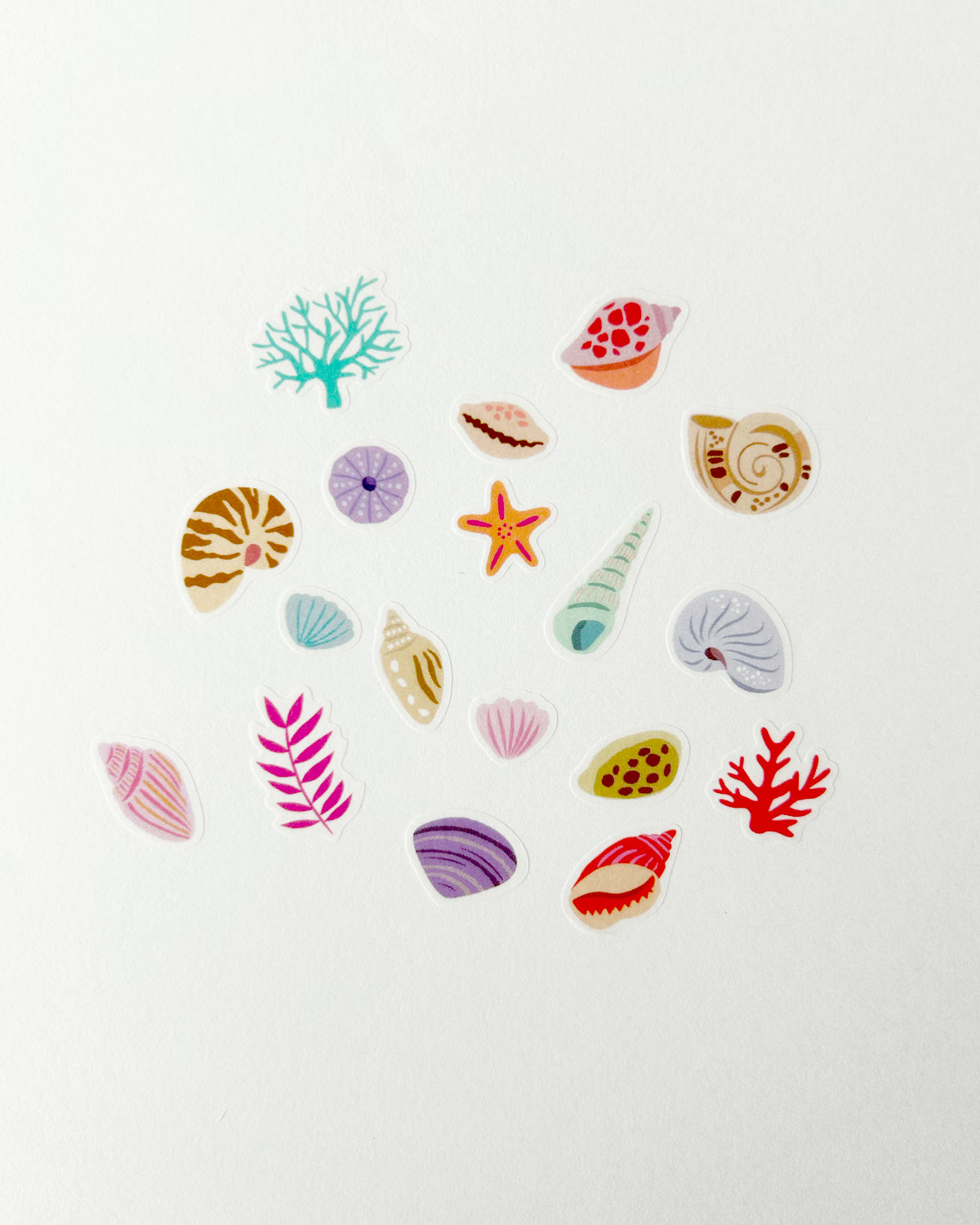 Colorful stickers of seashells and corals on a white background