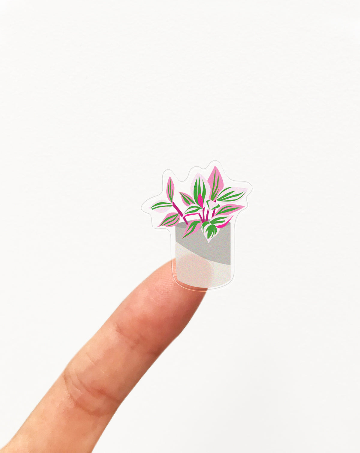 Small decorative plant sticker on a finger on a white background