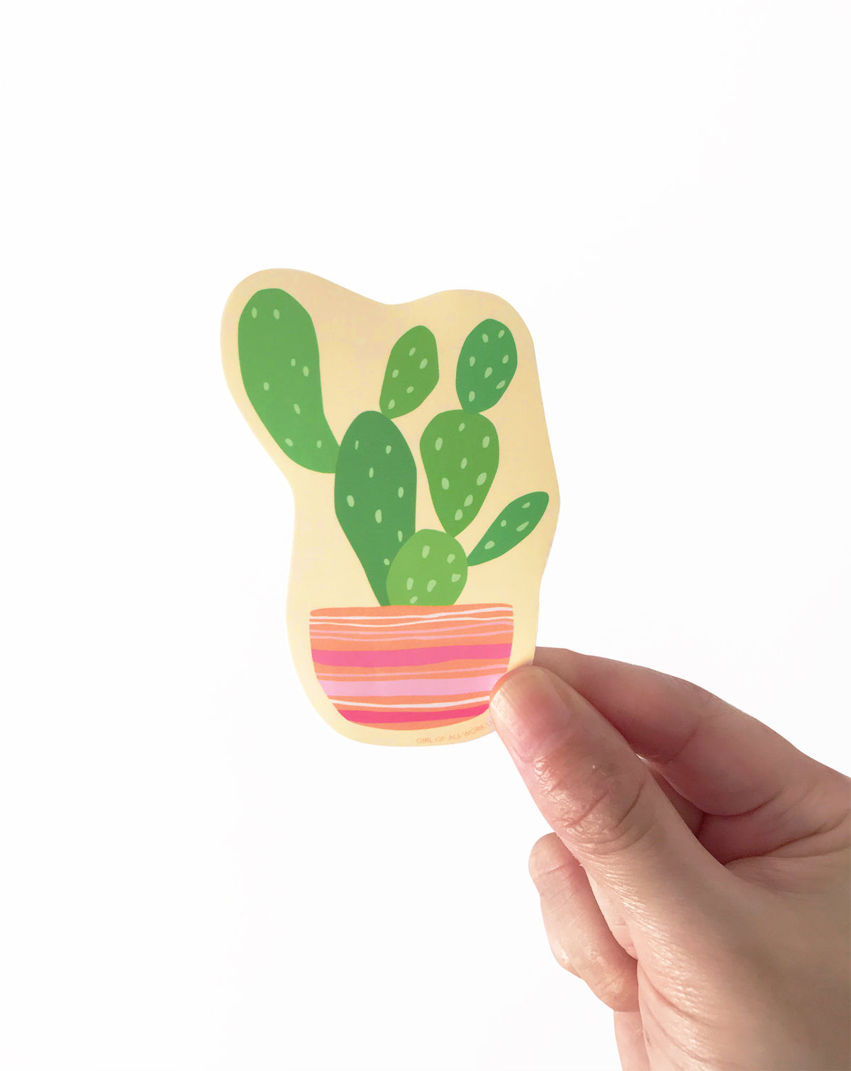 Hand holding a vinyl sticker with a cactus design on a white background