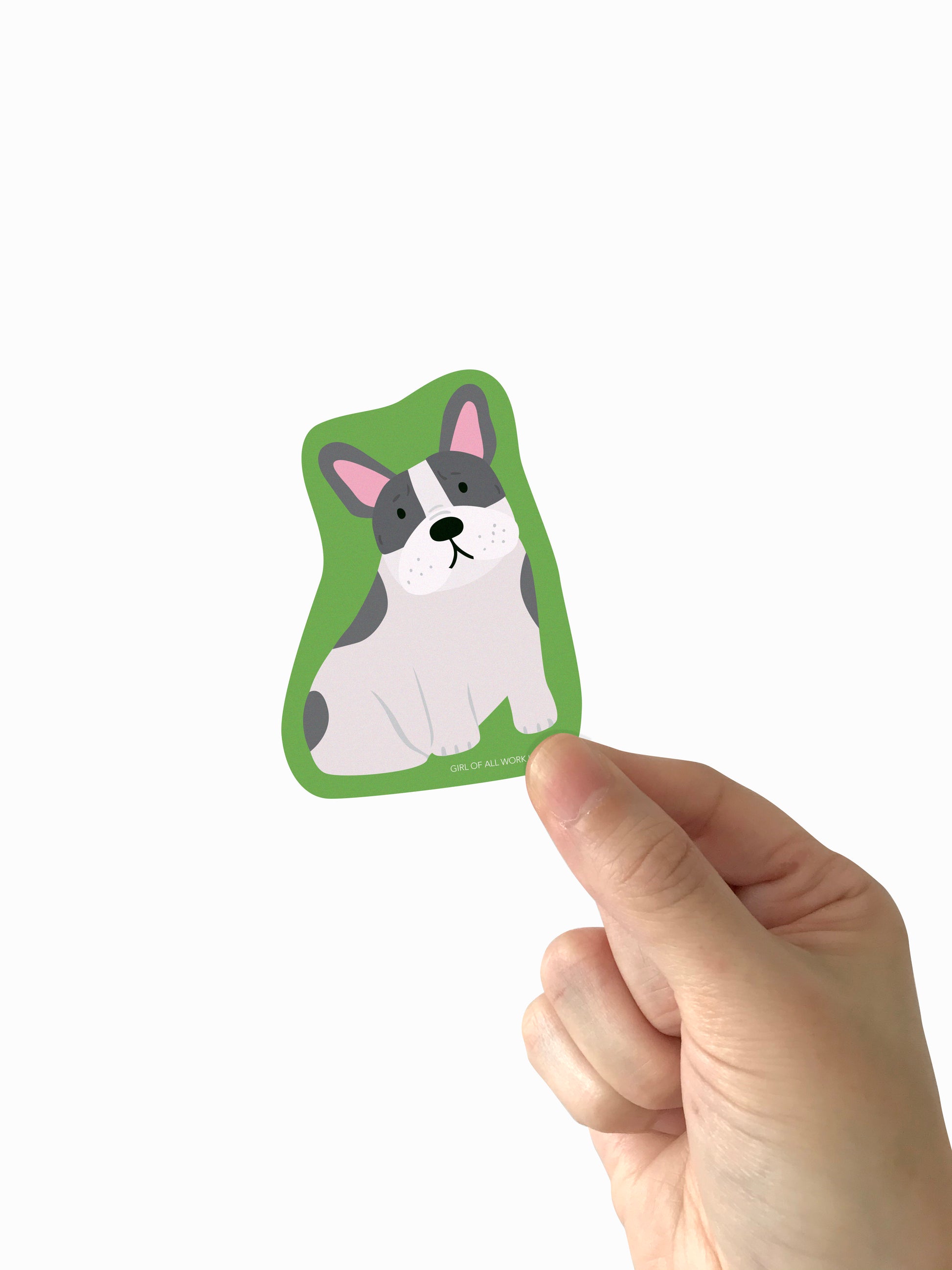 Hand holding a vinyl sticker of a french bulldog with a green border on a white background